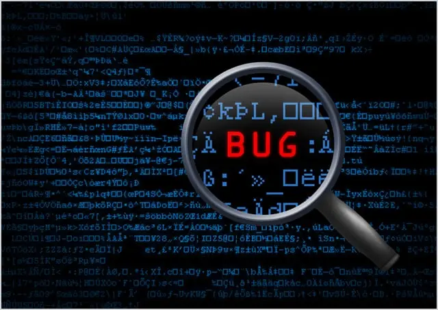 a bug in secure coding and cyber security